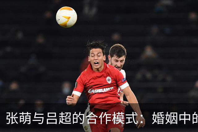 张萌与吕超的合作模式：婚姻中的商业信任与投资策略