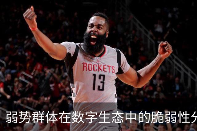 弱势群体在数字生态中的脆弱性分析